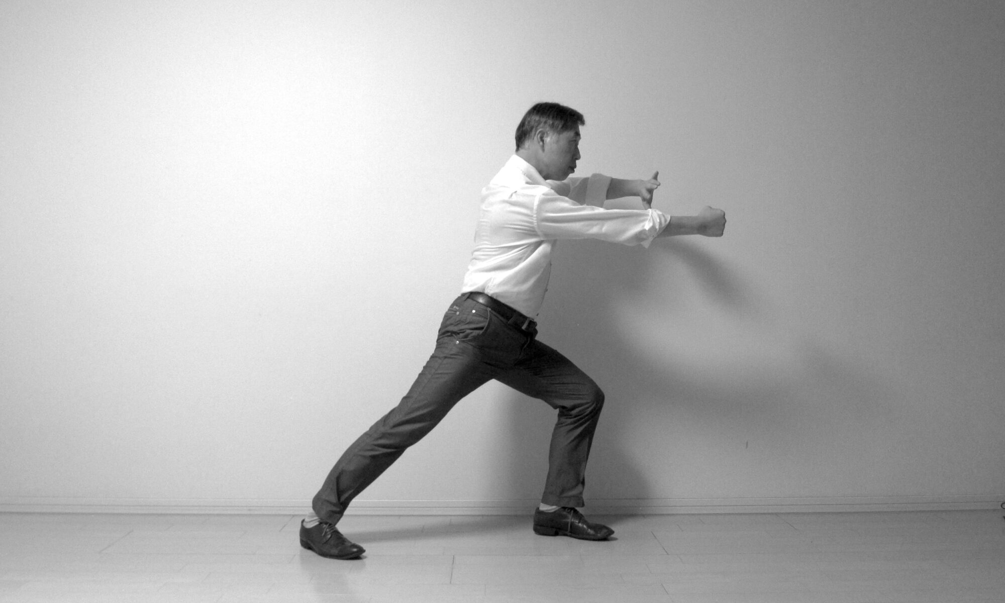 太極拳　搬攔捶 Taijiquan