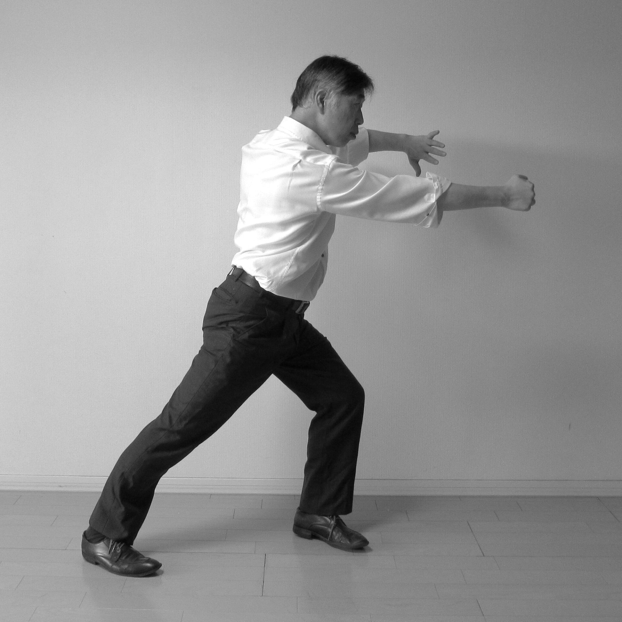 Block Punch Parry 進步搬攔捶(しんぽばんらんすい) – 太極拳、伝統への回帰