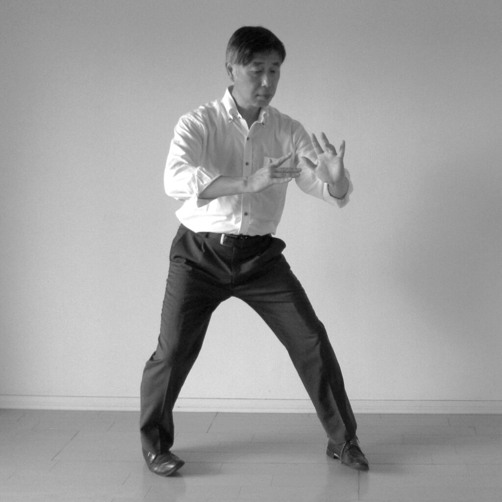 太極拳 攬雀尾 太极拳 揽雀尾