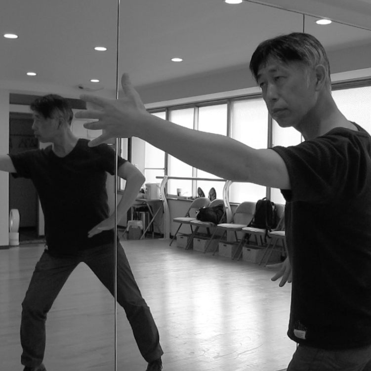 Taijiquan Lesson Yemafenzong